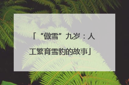 “傲雪”九岁：人工繁育雪豹的故事